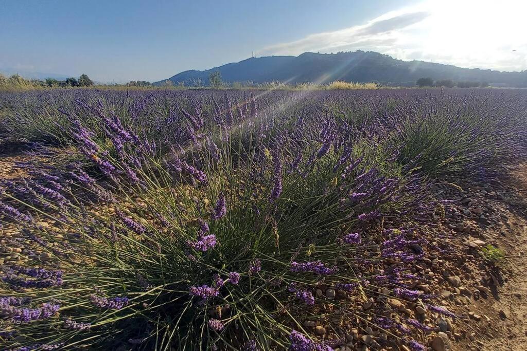 House Of Magic Lake Gréoux-les-Bains Εξωτερικό φωτογραφία