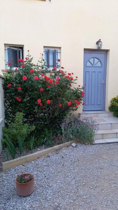 House Of Magic Lake Gréoux-les-Bains Εξωτερικό φωτογραφία